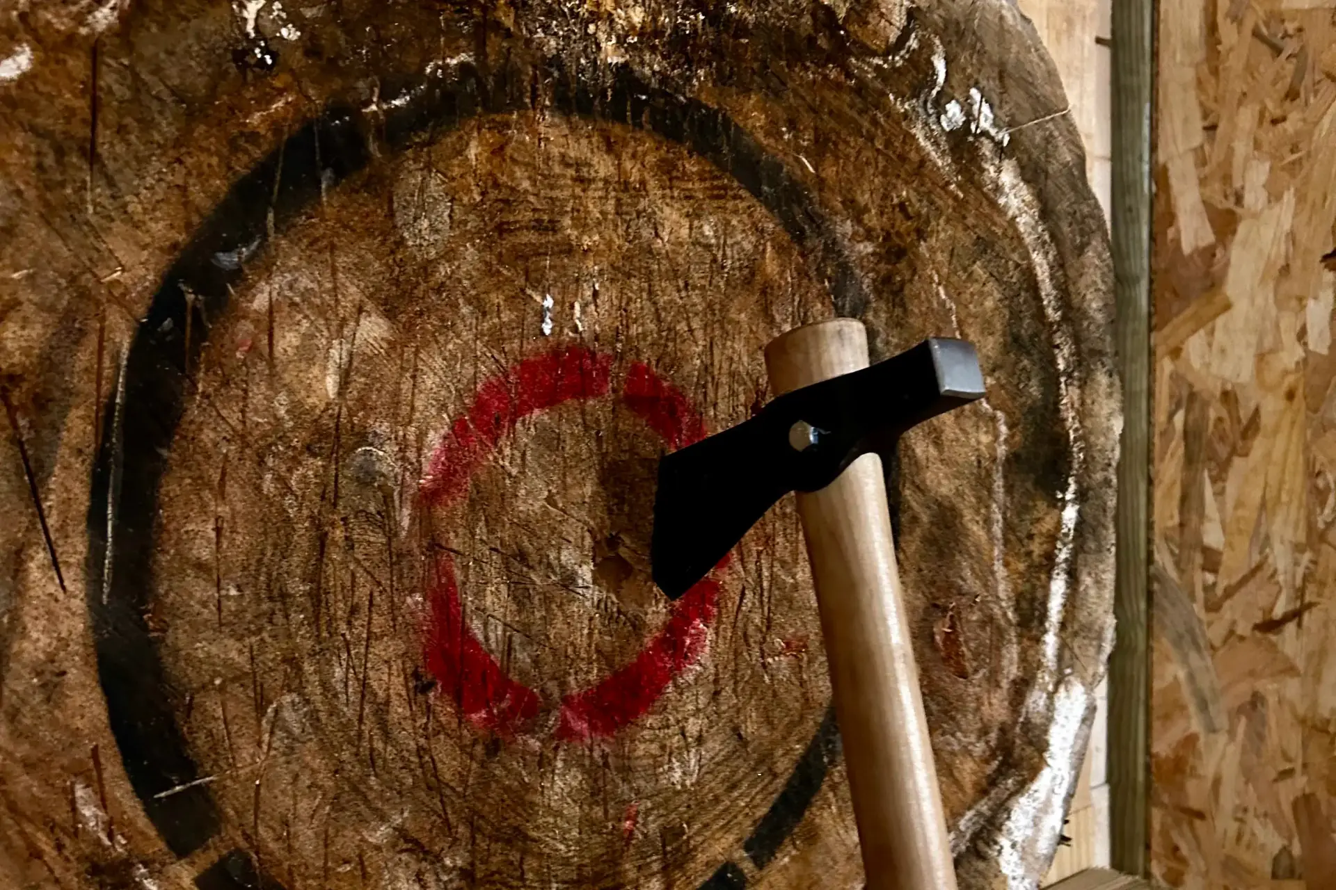 Tomahawk planté