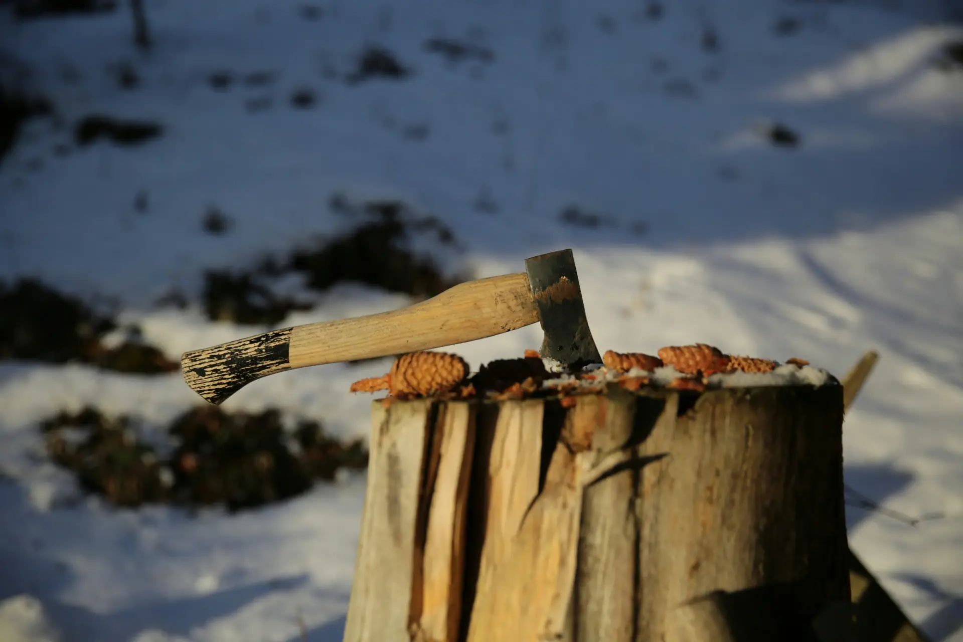 Session de lancer de hache hivernal